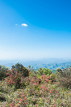 山岭风光