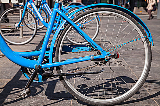 现代,蓝色,城市,自行车,待租,站立,停放,圣彼得堡