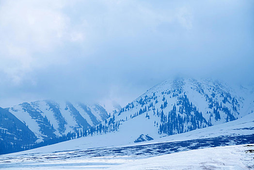 天山草原的雪