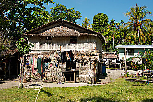 美拉尼西亚,巴布亚新几内亚,岛屿,特色,乡村,茅草屋顶,家,大幅,尺寸