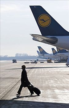 空姐,德国,航空公司,汉莎航空公司,走,过去,排,飞机,慕尼黑,机场,巴伐利亚,欧洲