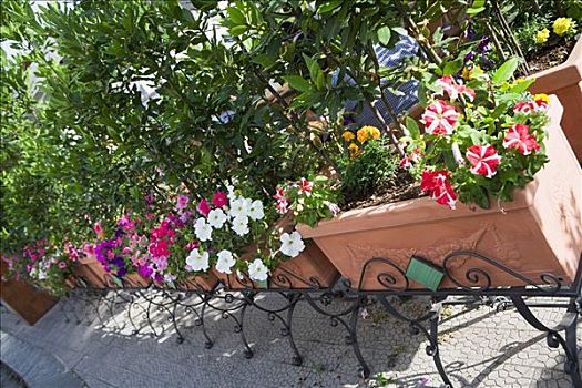 俯拍,盆栽,阿马尔菲海岸,萨勒诺,坎帕尼亚区,意大利