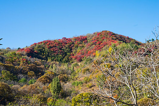 航拍济南红山翠谷景区