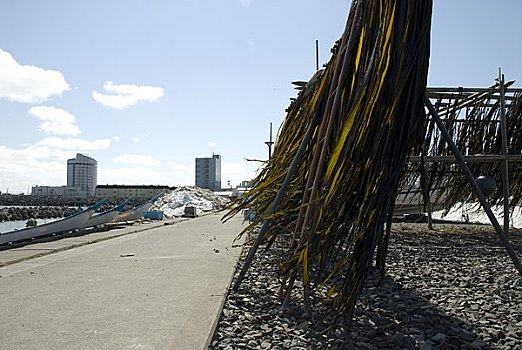 海岸,稚内