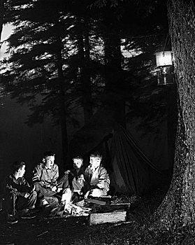 四个男孩,坐,靠近,营火,树林