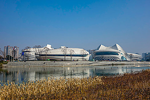 长沙新地标－梅溪湖国际文化艺术中心大剧院