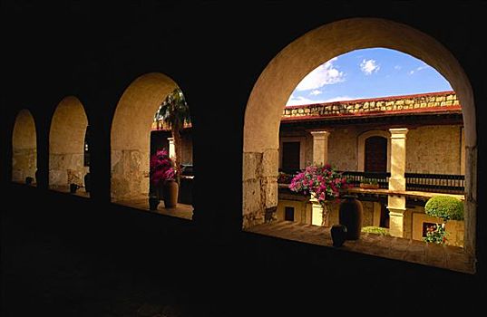 花,拱形,窗户,酒店,瓦哈卡,墨西哥