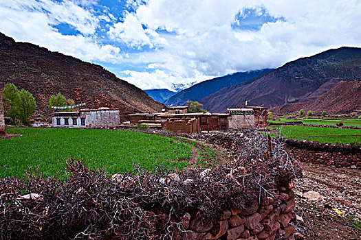 西藏红土地村镇景色