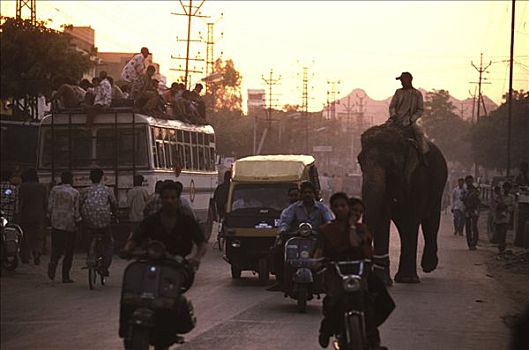 印度,乌代浦尔,街头一景,晚上,巴士,工作,背影,乡村,大象