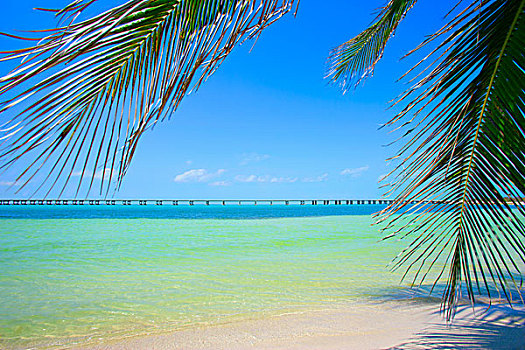 热带沙滩,佛罗里达礁岛群,美国
