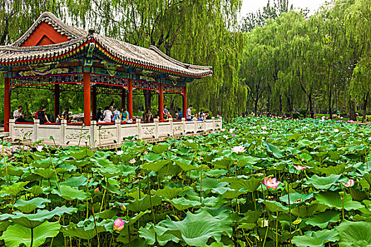 日坛,公园,北京,中国
