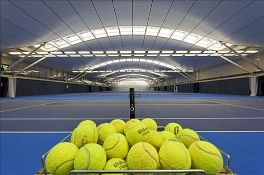 国家网球中心,草地,网球,联系,总部,室内,大厅