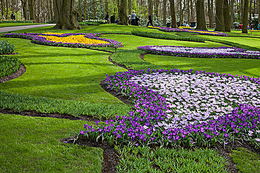 库肯霍夫公园,花,花园,荷兰,欧洲
