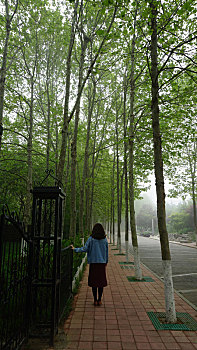 一个女孩在公园里一条两边长着高高的树的小路上散步
