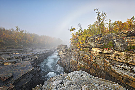 河,峡谷,风景,秋天,晨雾,国家公园,瑞典,欧洲