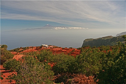 风景