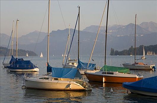 船,帆船,湖,瑞士