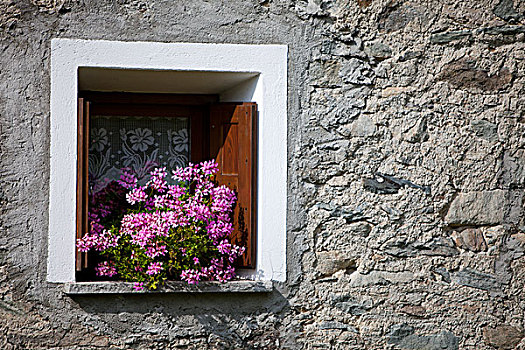 窗户,石头,房子,靠近,意大利,欧洲