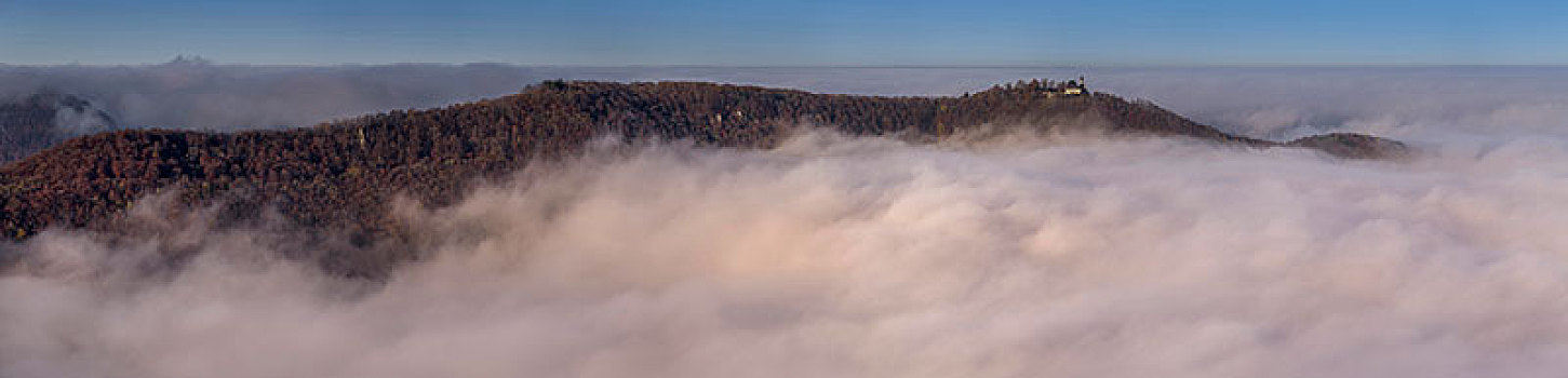 雾,城堡,高处,云,生物圈,区域,巴登符腾堡,德国,欧洲
