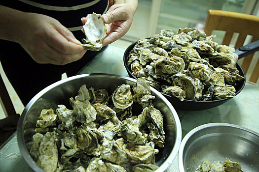 山东省日照市,肉质鲜美的牡蛎新鲜上市,市民争相购买尝鲜