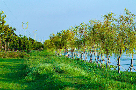 草坪,尽头