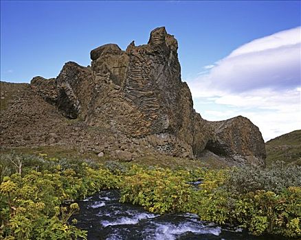 河流,欧防风根,当归,后面,岩石构造,国家公园,冰岛