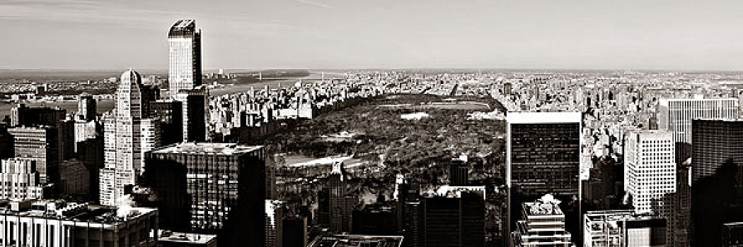 中央公园,冬天,屋顶,全景,风景,摩天大楼,曼哈顿中城,纽约