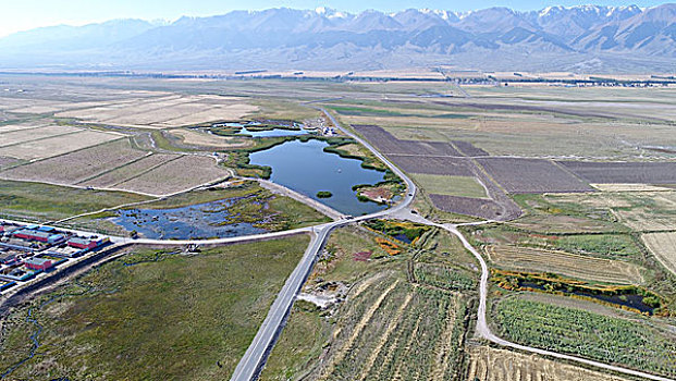 高家湖湿地生态公园