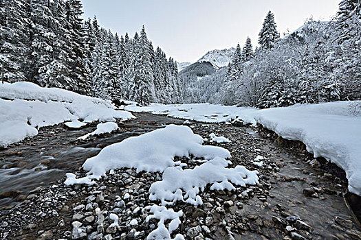 山川,冬天,雪,树,山,阿尔卑斯山,提洛尔,奥地利