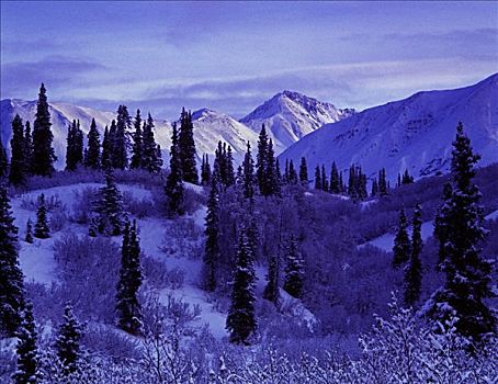 雪盖,山麓,阿拉斯加山脉,室内,冬天,景色