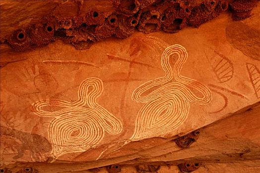 土著,岩石艺术,峭壁,鸟窝,南,爱丽丝泉,北领地州,澳大利亚