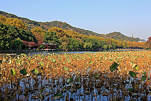 杭州西湖北里湖