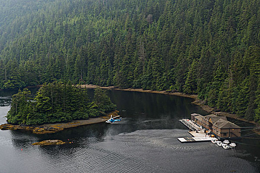 直升飞机,飞跃,湖,地区性,地区,岛屿,不列颠哥伦比亚省,加拿大