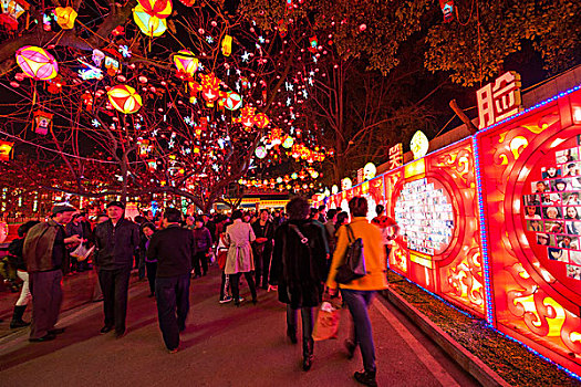 第十九届自贡国际恐龙灯会,吉祥中国年,主景区