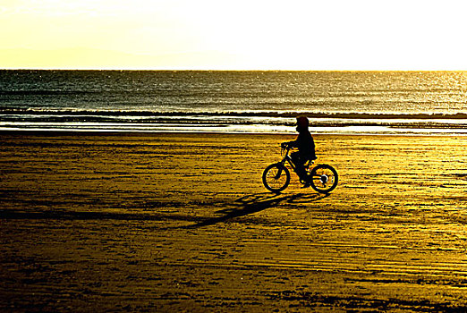 威尔士,剪影,孩子,骑自行车,沙滩,日落