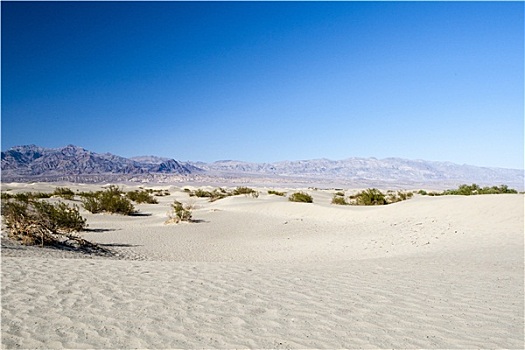沙子,死谷,国家公园,美国