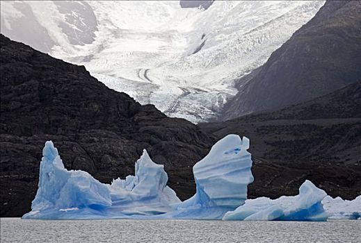 冰山,冰河,湖,阿根廷湖,国家公园,洛斯格拉希亚雷斯,洛斯格拉希亚雷斯国家公园,巴塔哥尼亚,阿根廷,南美