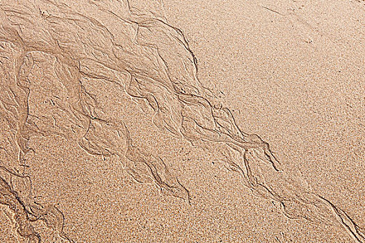 特写,弯曲,图案,湿,沿岸,沙子