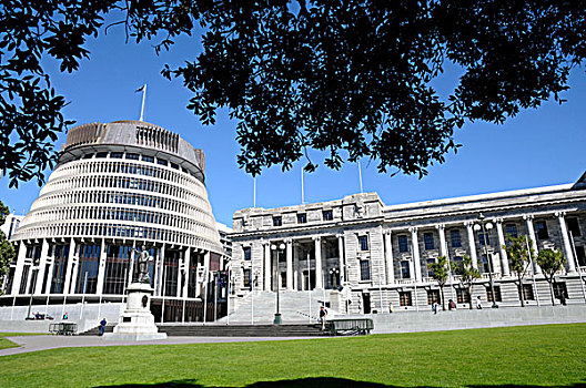 议会,房子,新西兰