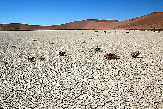 隐藏,盐,粘土,沙丘,纳米布沙漠,纳米比沙漠,公园,纳米比亚,非洲