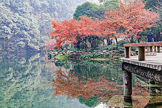 杭州九溪烟树秋景