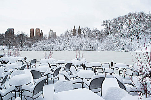 桌子,椅子,雪,城市公园