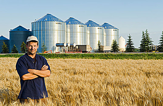 农民,成熟,麦田,谷物,背景,曼尼托巴,加拿大