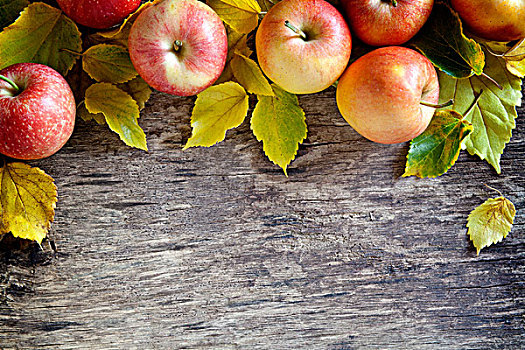 秋天,苹果,背景