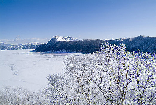 湖,冬天,银,霜