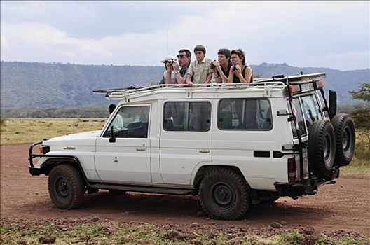 游客,旅行队,四轮驱动,交通工具,国家公园,坦桑尼亚,非洲