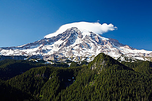 华盛顿,美国,山,雷尼尔山,国家公园