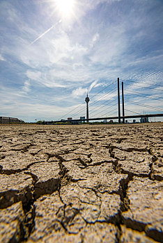 莱茵河,靠近,杜塞尔多夫,极限,低水位,水平,长,干旱,左边,堤岸,干燥,塔,北莱茵威斯特伐利亚,德国,欧洲
