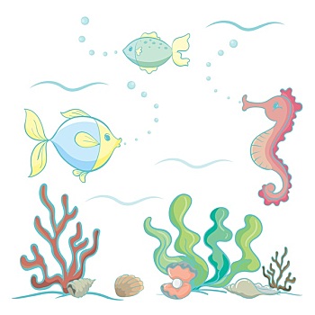 海洋动物,植物