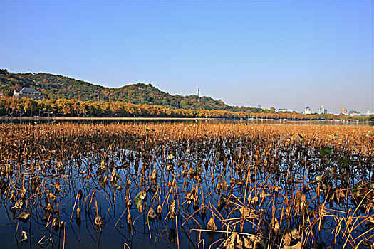 杭州西湖北里湖